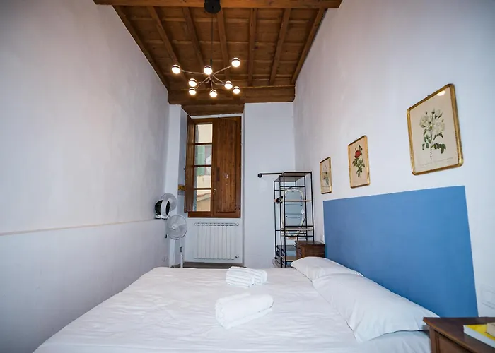 Roomy&elegant apartment by Piazza Pitti